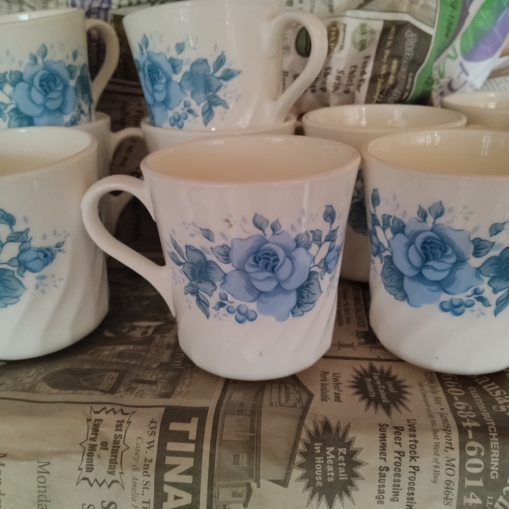 FULL SET Blue floral Cornell cups
